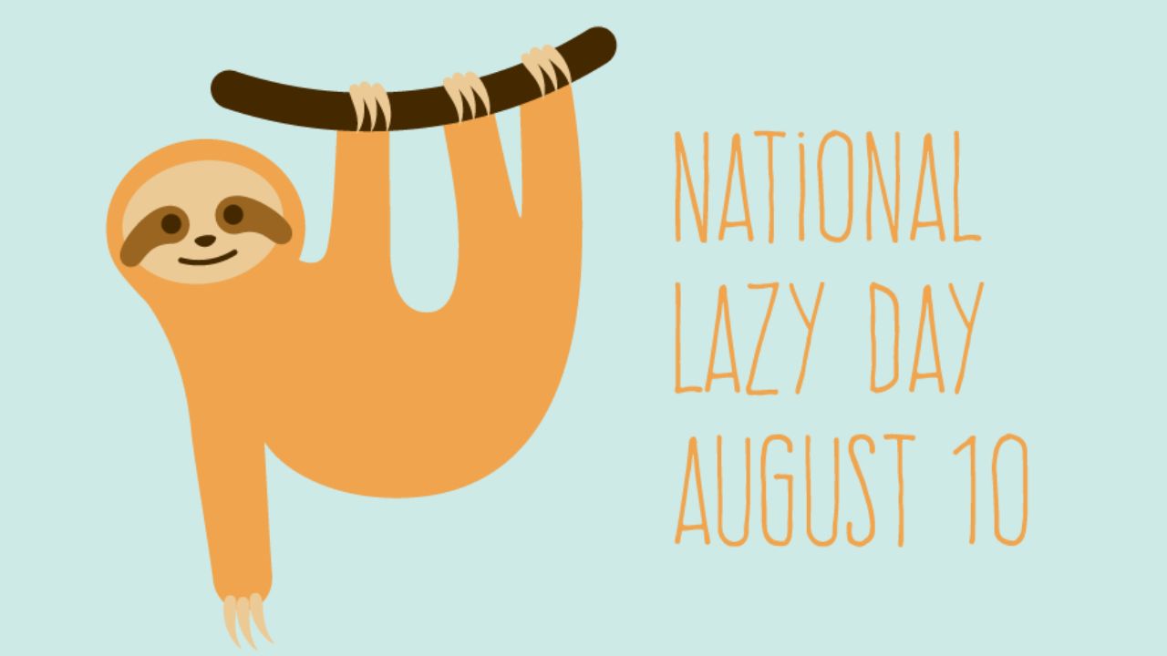 National Lazy Day: Ngày tự do lười biếng mà không sợ ai nhắc nhở