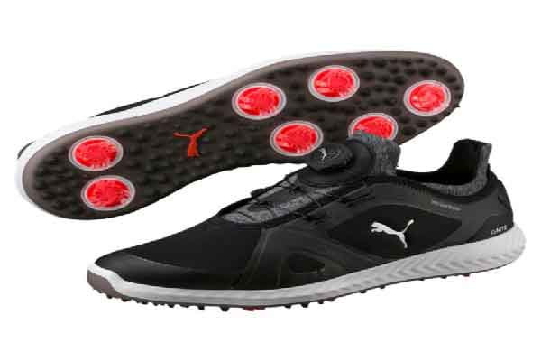 Mách bạn chọn giày đẳng cấp dành cho golf