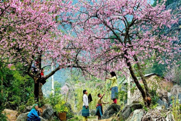 Ngành du lịch đang từng bước chuyên nghiệp hơn