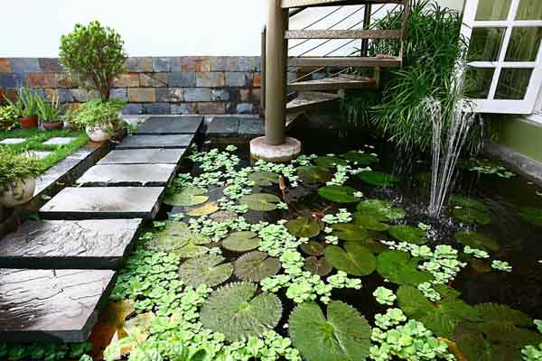 Vườn trong nhà – Xu hướng trong bối cảnh đô thị hóa