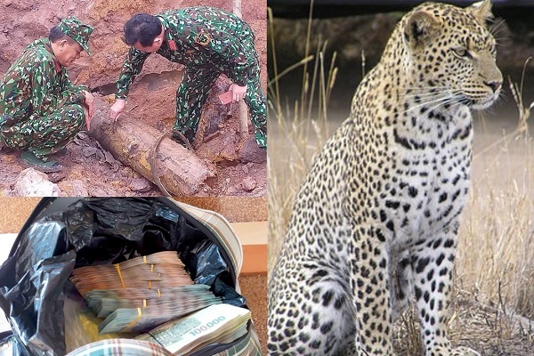 News 24h (18/12): Phát hiện mãnh thú tại Bảo Lộc, phát hiện quả bom nặng hơn 200 kg trong vườn cao su