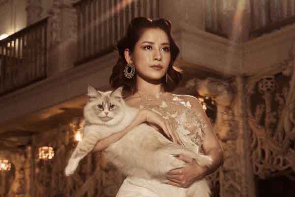 Chi Pu hoá ‘Nữ hoàng của loài mèo’ chào xuân Quý Mão