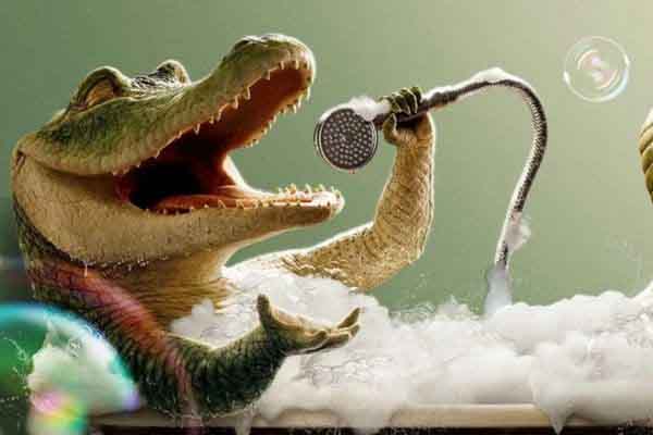 Đắm chìm trong sự dễ thương ‘xỉu’ của ‘Lyle, Chú cá sấu biết hát’