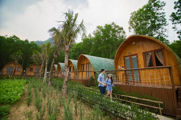 Du lịch xanh, trải nghiệm trồng rau – nuôi gà tại resort cao cấp