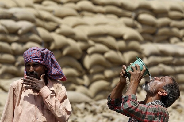 Nắng nóng cực độ khiến nhiều nơi trên thế giới khổ sở