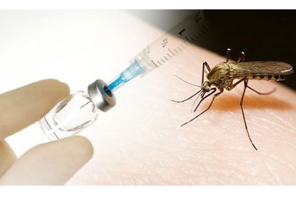 Cơ hội tiếp cận vaccine sốt xuất huyết tại Việt Nam vào thời gian sắp tới