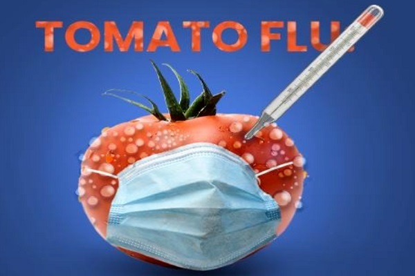 Chưa qua Covid, Ấn Độ lại đối mặt với dịch ‘cúm cà chua’ bí ẩn