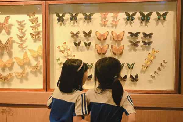 Bảo tàng gặp khó đủ đường