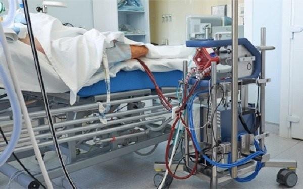 Xem xét phương án ghép phổi cho phi công người Anh mắc COVID-19