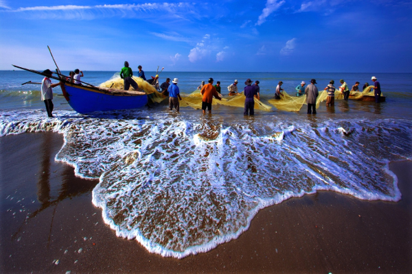 Các công ty lữ hành “sống lại” nhờ mùa hè