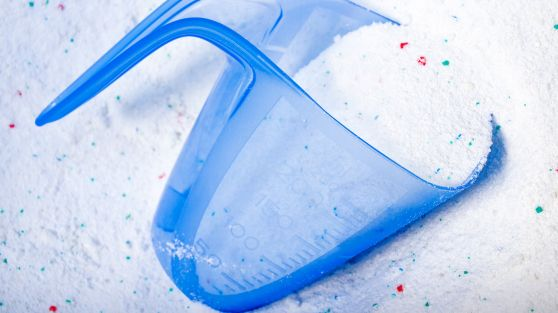 Những mẹo hay giúp bạn đuổi chuột  dễ dàng