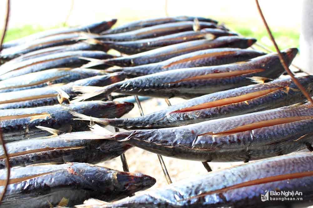 Nhộn nhịp nghề nướng cá ở làng biển Quỳnh Lưu – Nghệ An