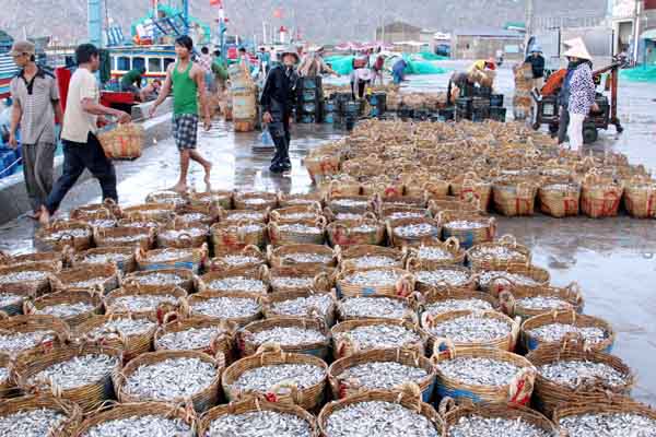 Cà ná – văn hóa đặc trưng làng biển