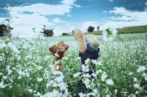 Đà Lạt xao xuyến những mùa hoa