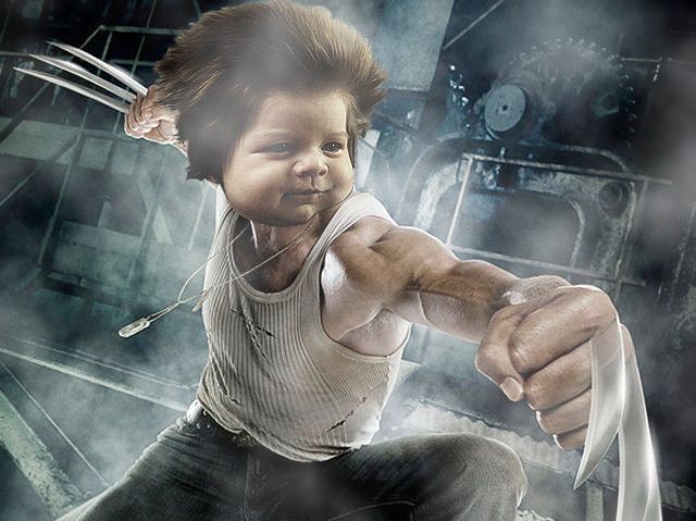 Bé Gấu tóc xù đang là nguồn cảm hứng cho cư dân mạng ngó nhìn