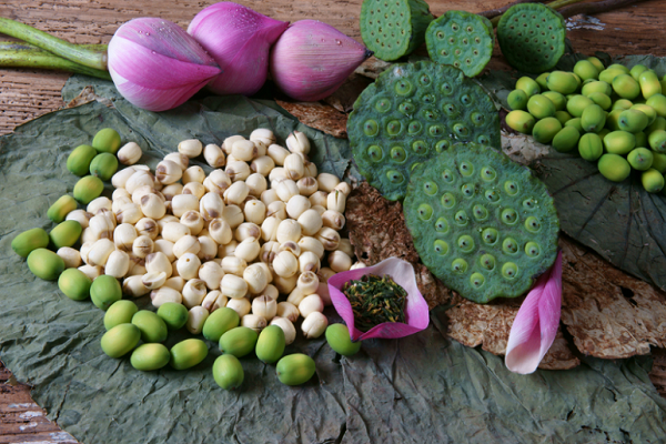 Công dụng trị bách bệnh của hạt sen, đặc biệt tốt cho phái nữ