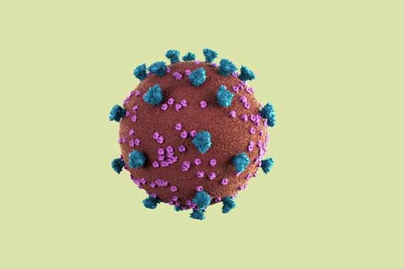 Thêm 1 ca mắc COVID-19, 9 người được công bố khỏi bệnh