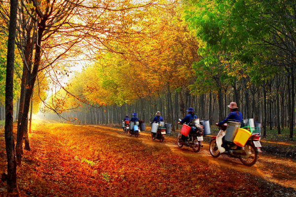 Người dân tìm kiếm thông tin du lịch ngày một tăng