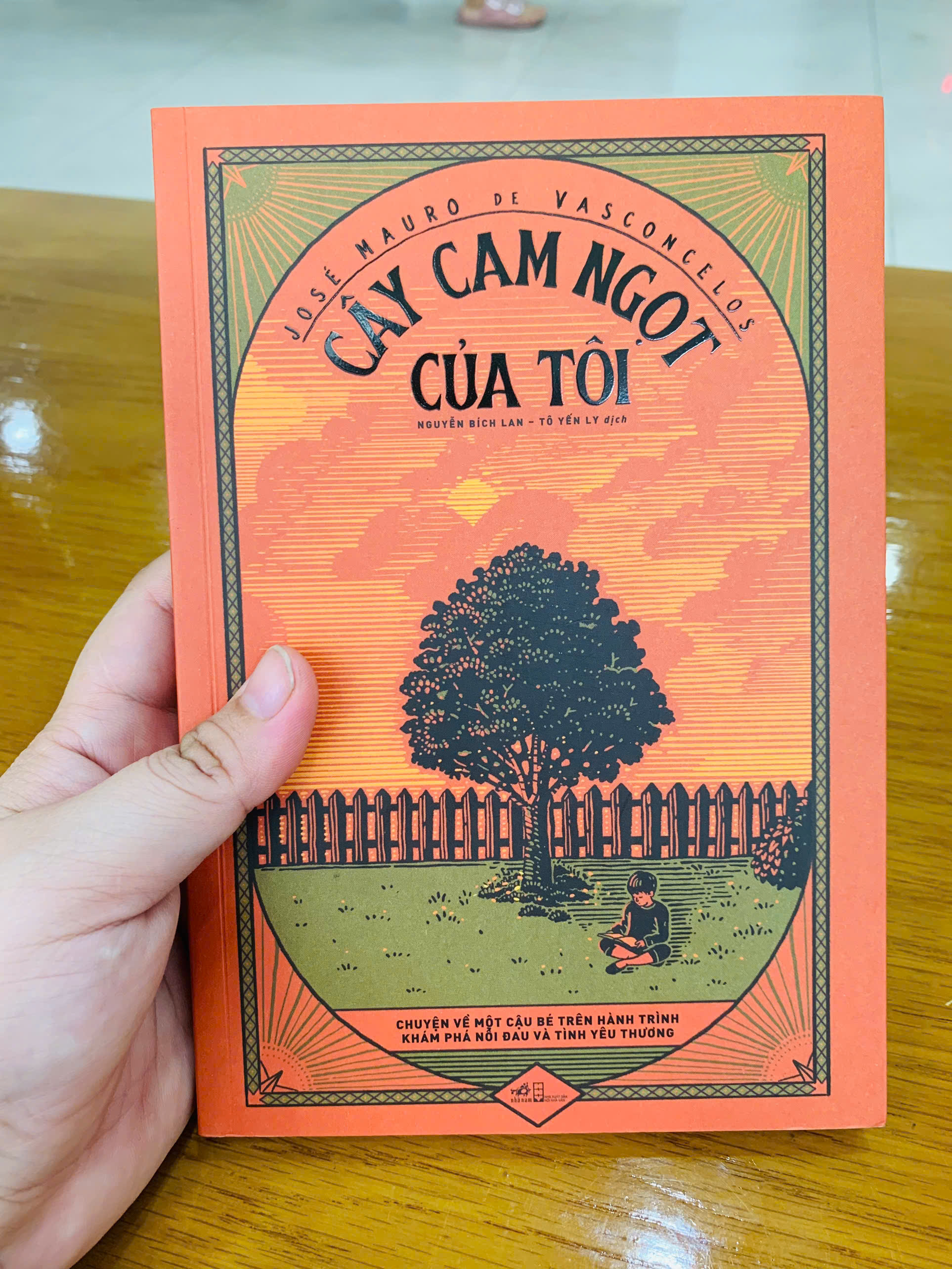 Cây Cam ngọt của tôi: Tìm kiếm niềm vui trong những điều nhỏ bé