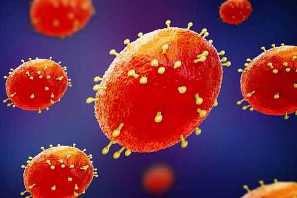 Tổ chức Y tế Thế giới báo động sự bùng phát của dịch đậu mùa khỉ