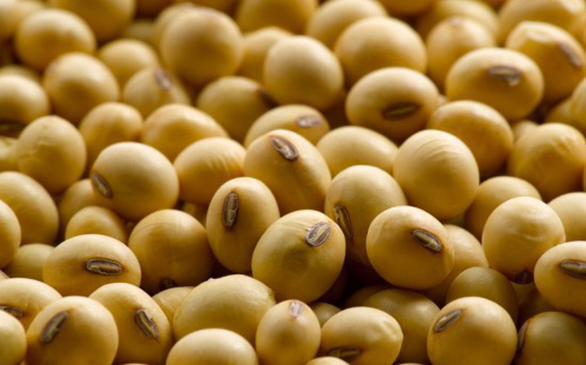 80 ngàn tấn đậu tương bị tàu Mỹ đổ xuống biển Trung Quốc