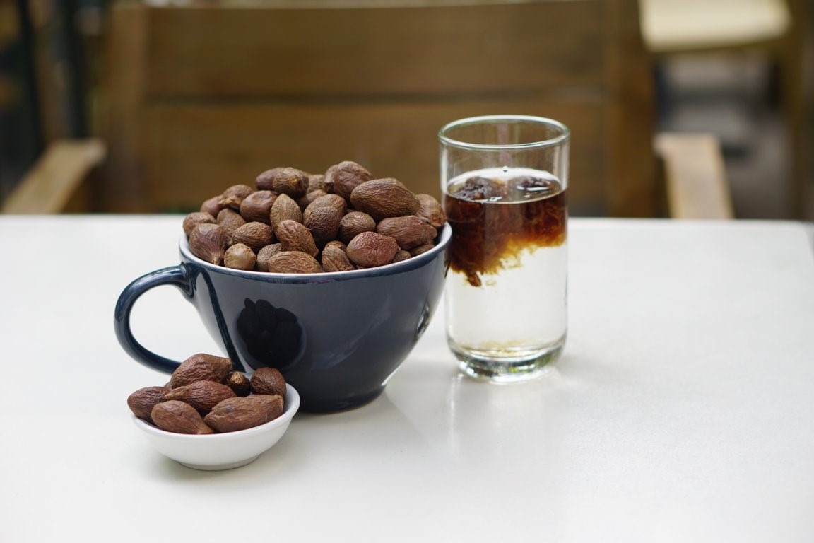 Công dụng của hạt đười ươi trong chữa bệnh