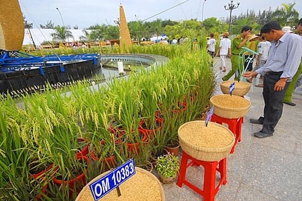Vĩng Long sẽ là chủ nhà của Festival lúa gạo lần thứ 5