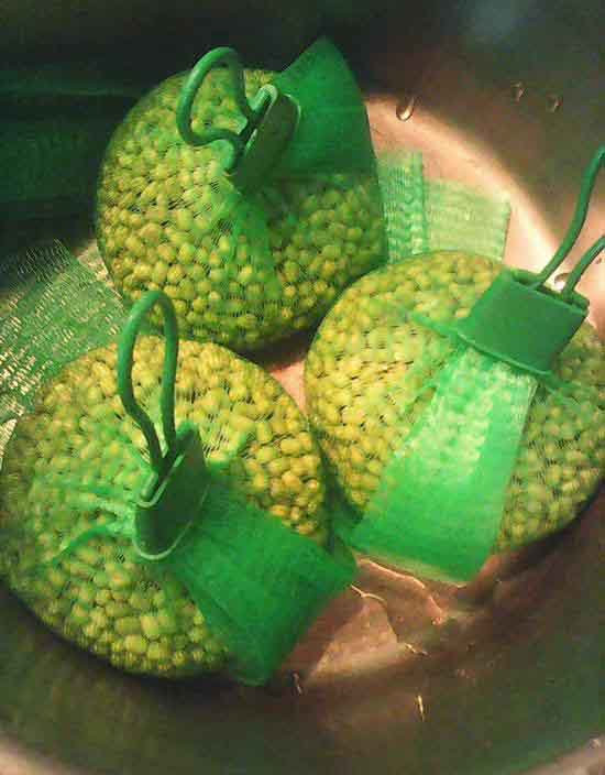 Mẹo làm giá đỗ bằng túi lưới