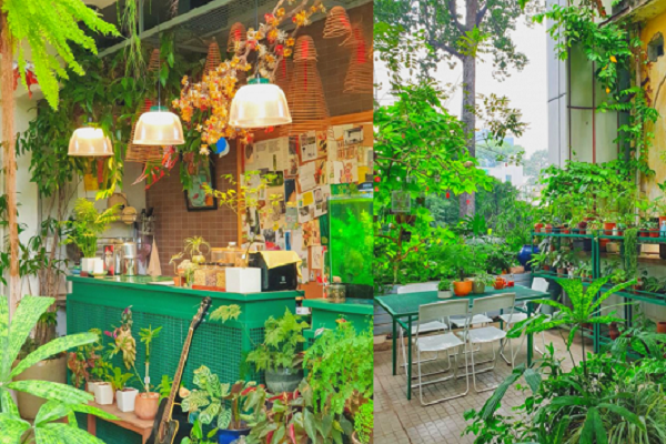 4 quán cà phê xanh mướt ở TP.HCM khiến nhiều người mê mẩn