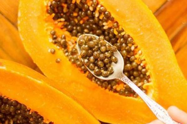 Lợi ích bất ngờ của hạt đu đủ nhưng khi ăn cần lưu ý tác dụng phụ đáng sợ này