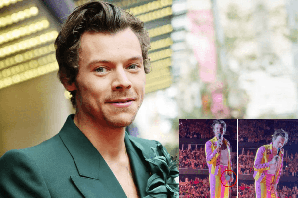 Khán giả quá khích ném chai vào vùng nhạy cảm của Harry Styles