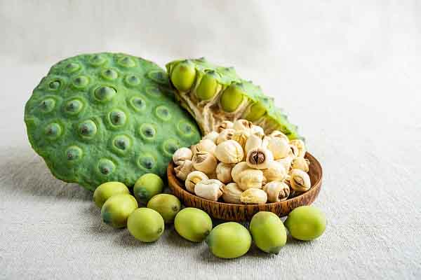 6 bài thuốc Đông y giúp điều trị tóc bạc sớm hiệu quả