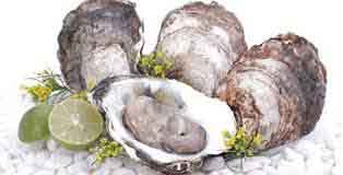 Nhóm thực phẩm giúp bạn trẻ lâu