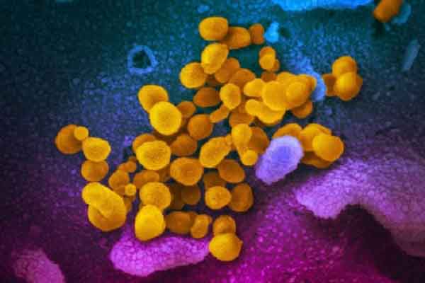 Chữa trị thành công cho bệnh nhân mắc COVID-19 hơn 13 tháng