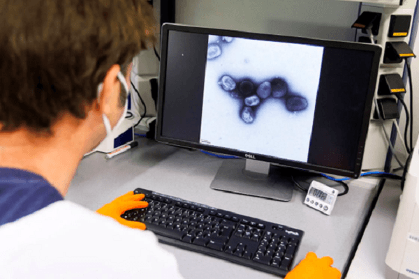 Vắc xin đậu mùa hiệu quả ra sao đối với bệnh đậu mùa khỉ?