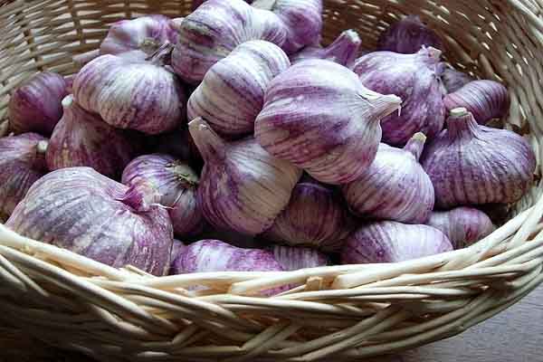 Vô vàn công dụng từ một loại gia vị mà bếp nhà ai cũng có