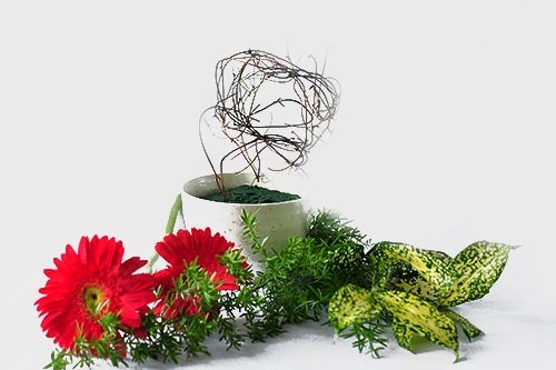 Cắm hoa đẹp thể hiện khí chất của người yêu hoa