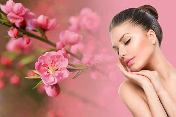 Bí quyết dưỡng nhan của mỹ nhân xưa nhờ hoa đào