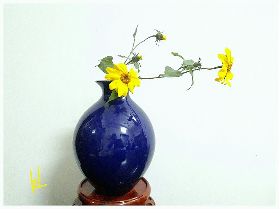 Những câu nói hay cho trải nghiệm thú vị về cuộc sống