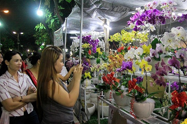 Festival Hoa lan TP Hồ Chí Minh sắp diễn ra