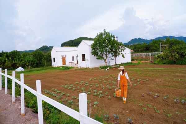 Cô gái trẻ khởi nghiệp làm homestay từ căn nhà cũ đi thuê