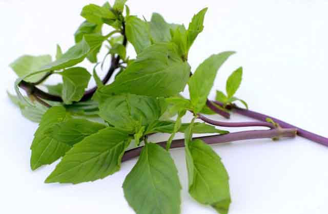 Mẹo trị chứng đầy hơi, khó tiêu