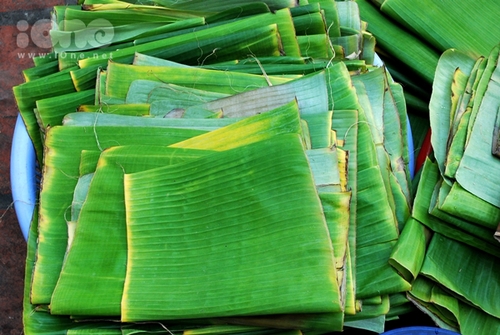 Ở Việt Nam, lá chuối cho không, ở Nhật, giá 500 ngàn một lá