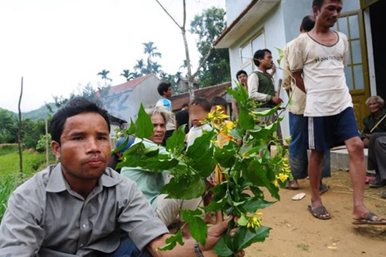 Hai cha con cùng ăn lá ngón tự tử