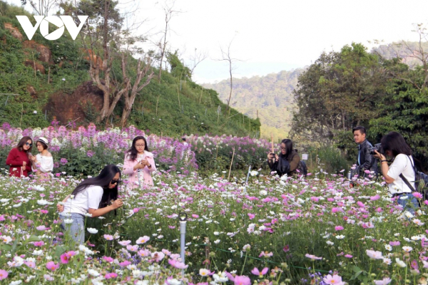 Điểm du lịch canh nông không được đầu tư kinh doanh lưu trú