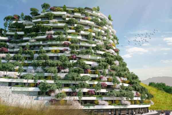 Ngôn ngữ thiên nhiên bị rối loạn vì hiểm họa ô nhiễm môi trường