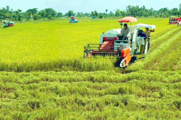 Cứ mỗi ngày trôi qua, ngành nông nghiệp thu về thêm 110 triệu USD