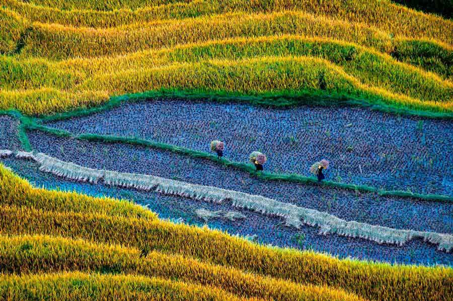 Triển lãm ảnh Di sản Việt Nam 2018 giới thiệu 107 tác phẩm xuất sắc nhất