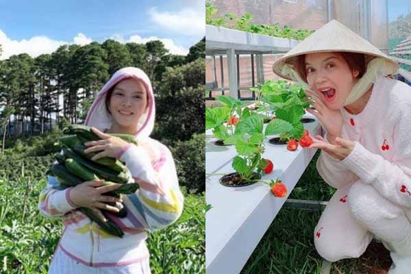Lý Nhã Kỳ nuôi gà, trồng rau ở nông trại 50 hecta tại Đà Lạt