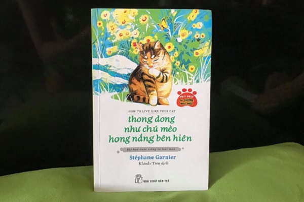 Thong dong như chú mèo hong nắng bên hiên: Những bài học từ sự bình thản, tinh tế và chậm rãi